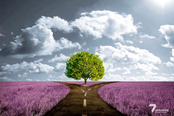 Народы мира на распутье