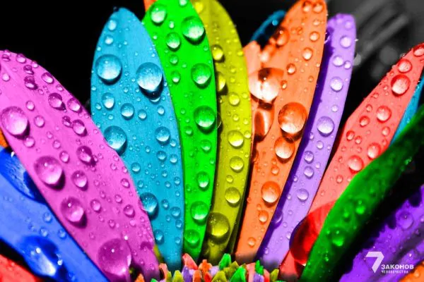 Благоустроим нашу планету для всего человечества