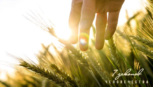 Дух и материя. Мудрость простых слов.