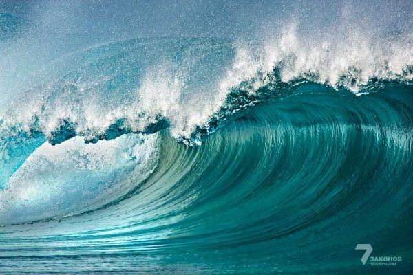 Чему мы должны научиться у Ноаха