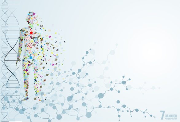 Человек  - цель и венец творения