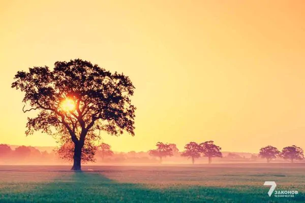 Почему Б-г желает обрести жилище в нашем мире?