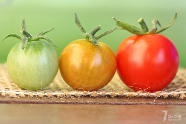 Три стадии мироздания