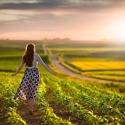 Почему пал Шхем: урок Семи Законов Ноаха