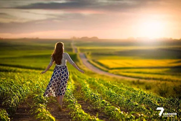 Почему пал Шхем: урок Семи Законов Ноаха