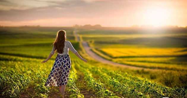 Почему пал Шхем: урок Семи Законов Ноаха