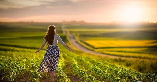 Почему пал Шхем: урок Семи Законов Ноаха