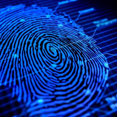 Чудеса природы: отпечатки пальцев