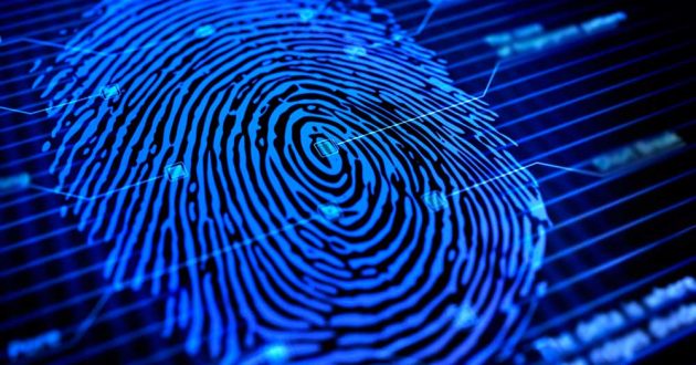 Чудеса природы: отпечатки пальцев