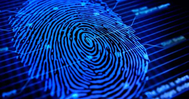 Чудеса природы: отпечатки пальцев